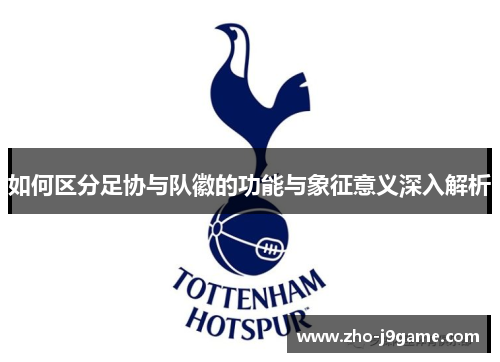 如何区分足协与队徽的功能与象征意义深入解析