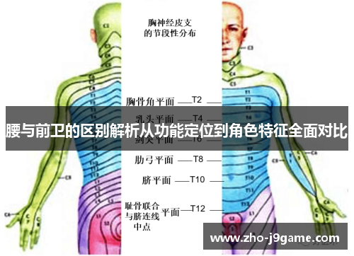 腰与前卫的区别解析从功能定位到角色特征全面对比